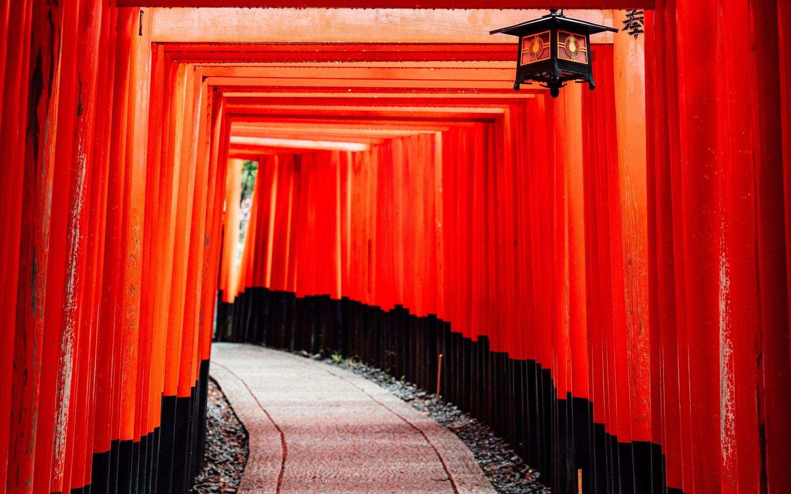 The tunnel of vermilion torii gates at Fushimi Inari shrine in Kyoto