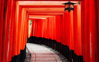 The tunnel of vermilion torii gates at Fushimi Inari shrine in Kyoto