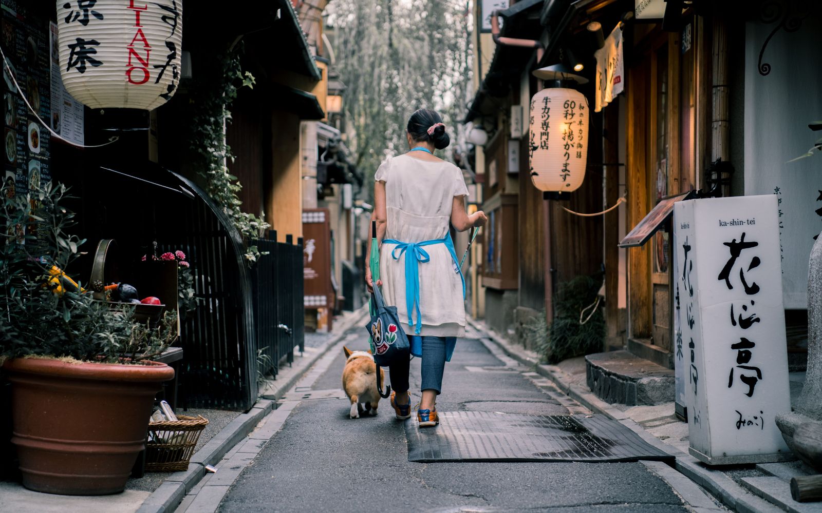 A woman walking a dog down a lantern-lit lane in Pontocho, Kyoto, at dusk