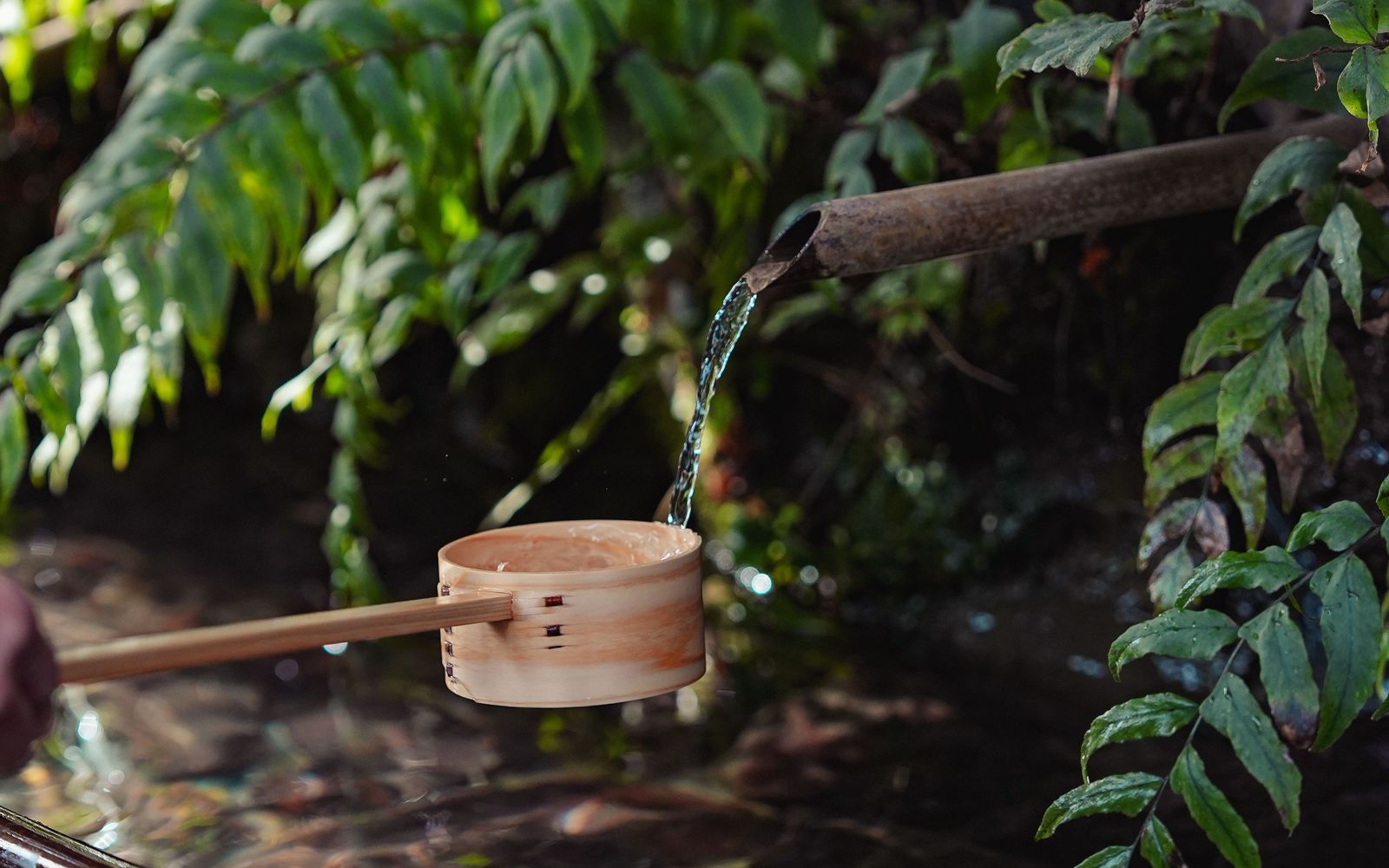 A bamboo spout pouring water into a wooden ladle above a stone basin in a Japanese garden